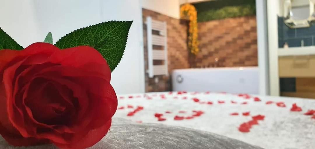 Love Rooms De La Presqu'Ile Saint-Vincent-de-Paul  Kültér fotó